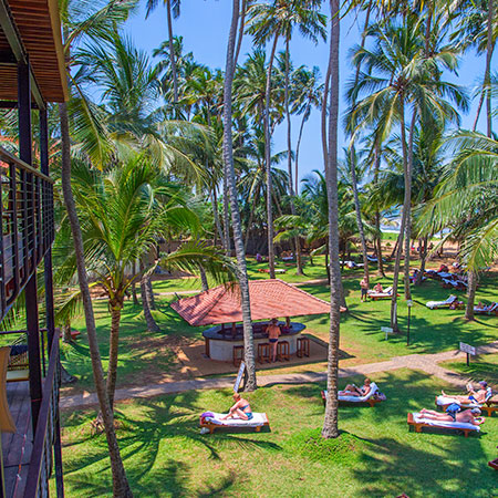 mermaid hotel club