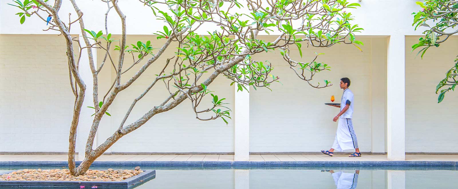 Mermaid Hotel & Club in Kalutara, Sri Lanka